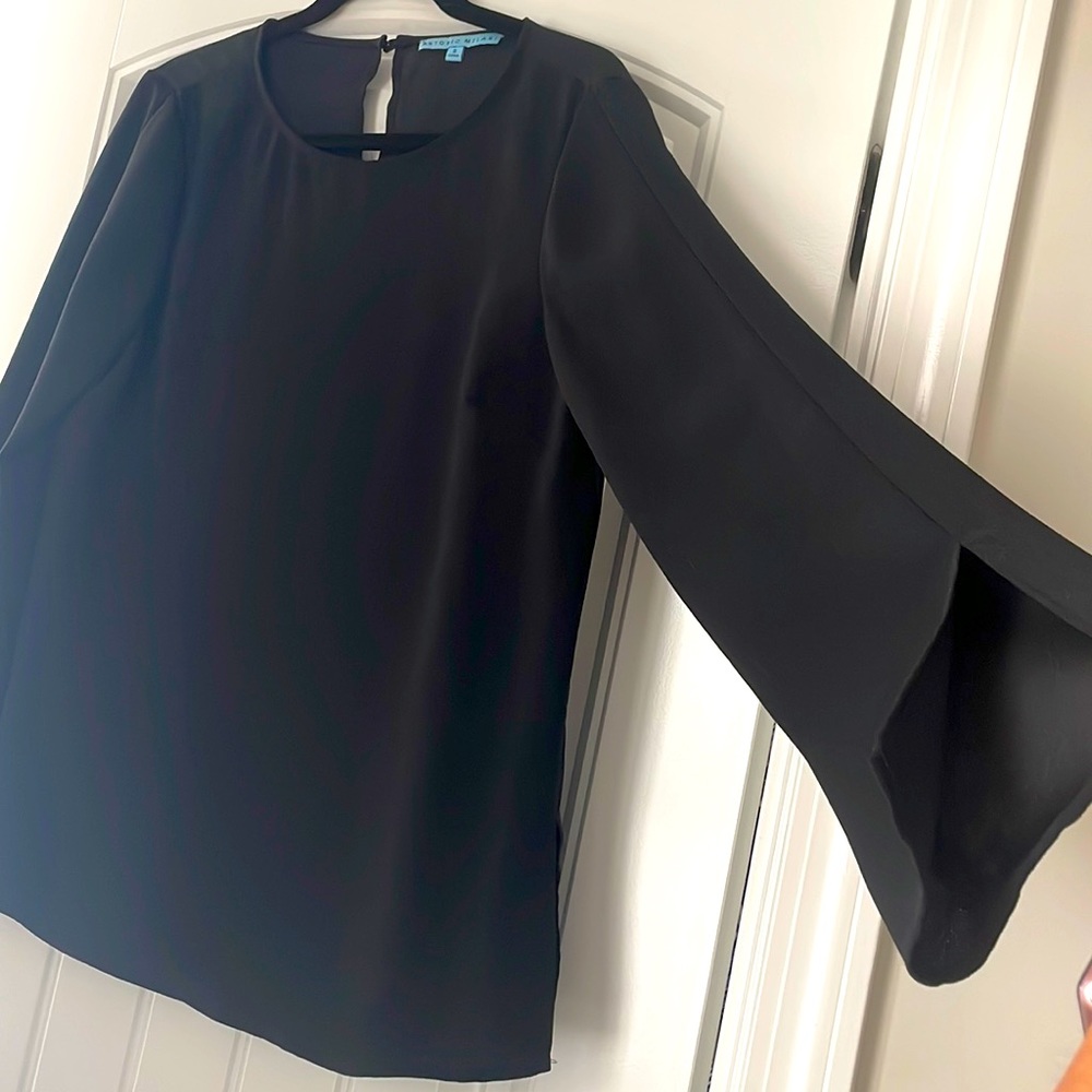 Antonio Melani long sleeve dressy blouse